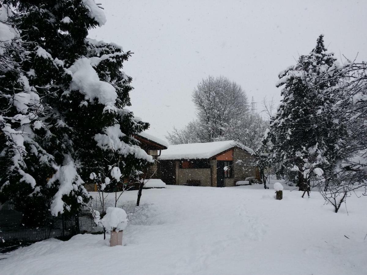 R&B Albero Cavo Parma Bed & Breakfast Eksteriør bilde