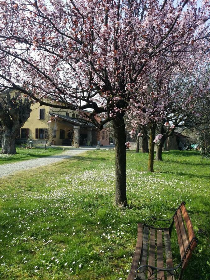 R&B Albero Cavo Parma Bed & Breakfast Eksteriør bilde