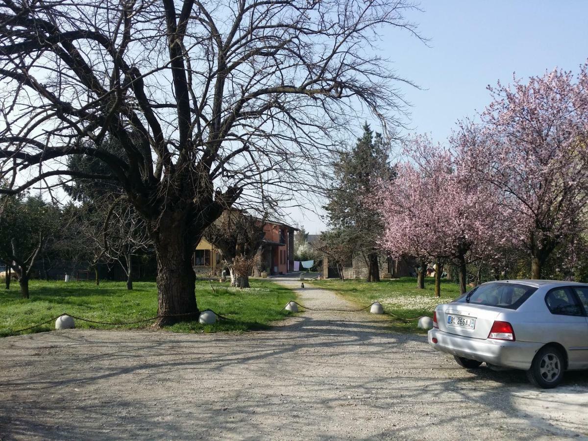 R&B Albero Cavo Parma Bed & Breakfast Eksteriør bilde