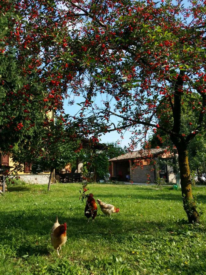 R&B Albero Cavo Parma Bed & Breakfast Eksteriør bilde