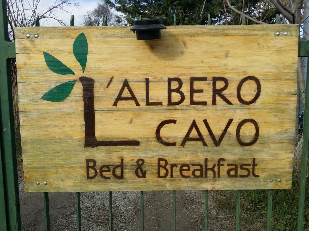 R&B Albero Cavo Parma Bed & Breakfast Eksteriør bilde