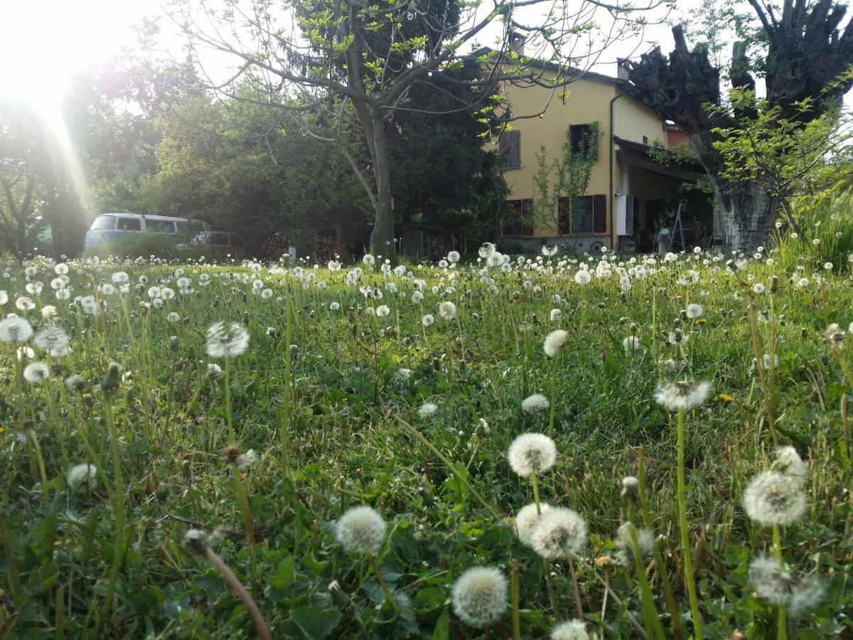 R&B Albero Cavo Parma Bed & Breakfast Eksteriør bilde