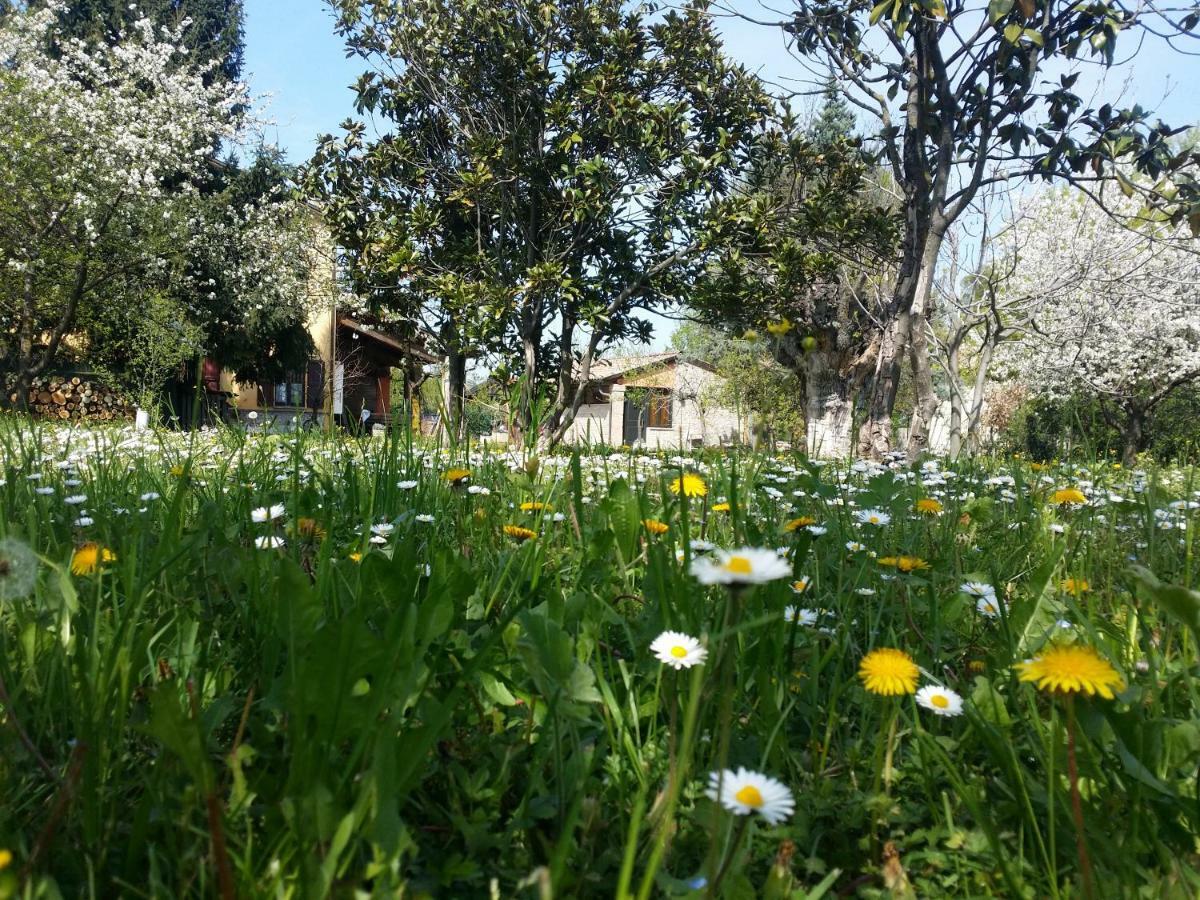 R&B Albero Cavo Parma Bed & Breakfast Eksteriør bilde