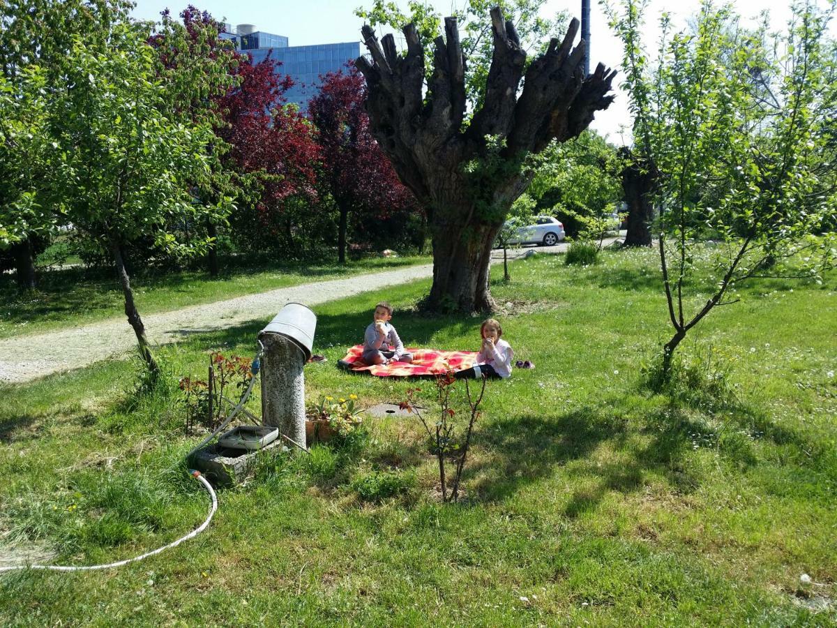 R&B Albero Cavo Parma Bed & Breakfast Eksteriør bilde