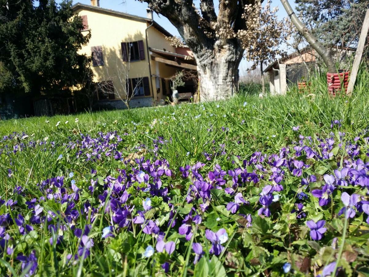 R&B Albero Cavo Parma Bed & Breakfast Eksteriør bilde