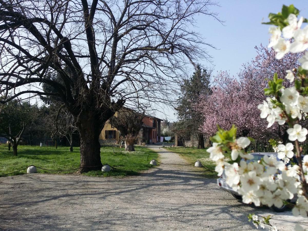 R&B Albero Cavo Parma Bed & Breakfast Eksteriør bilde